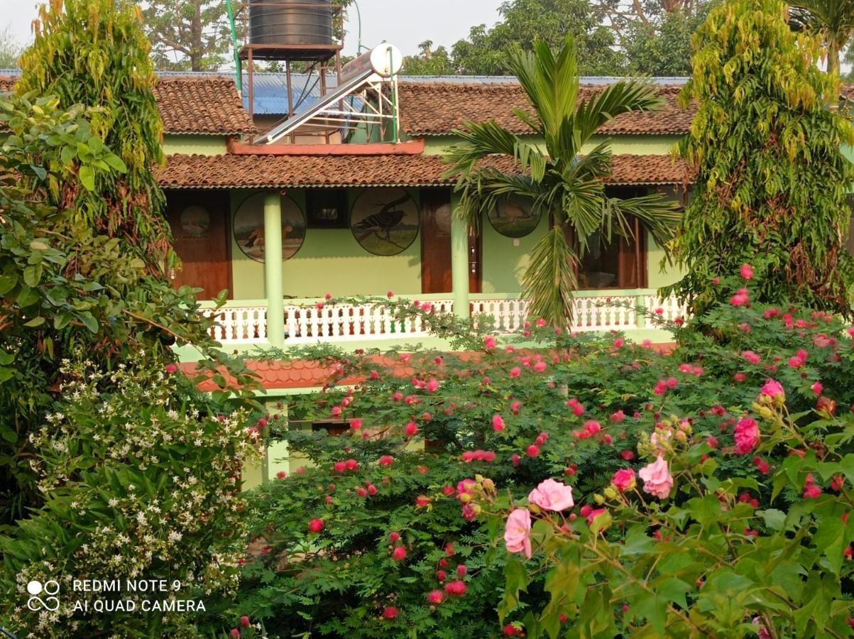 Hotel Rhino Land-Sauraha Family Home Exterior foto