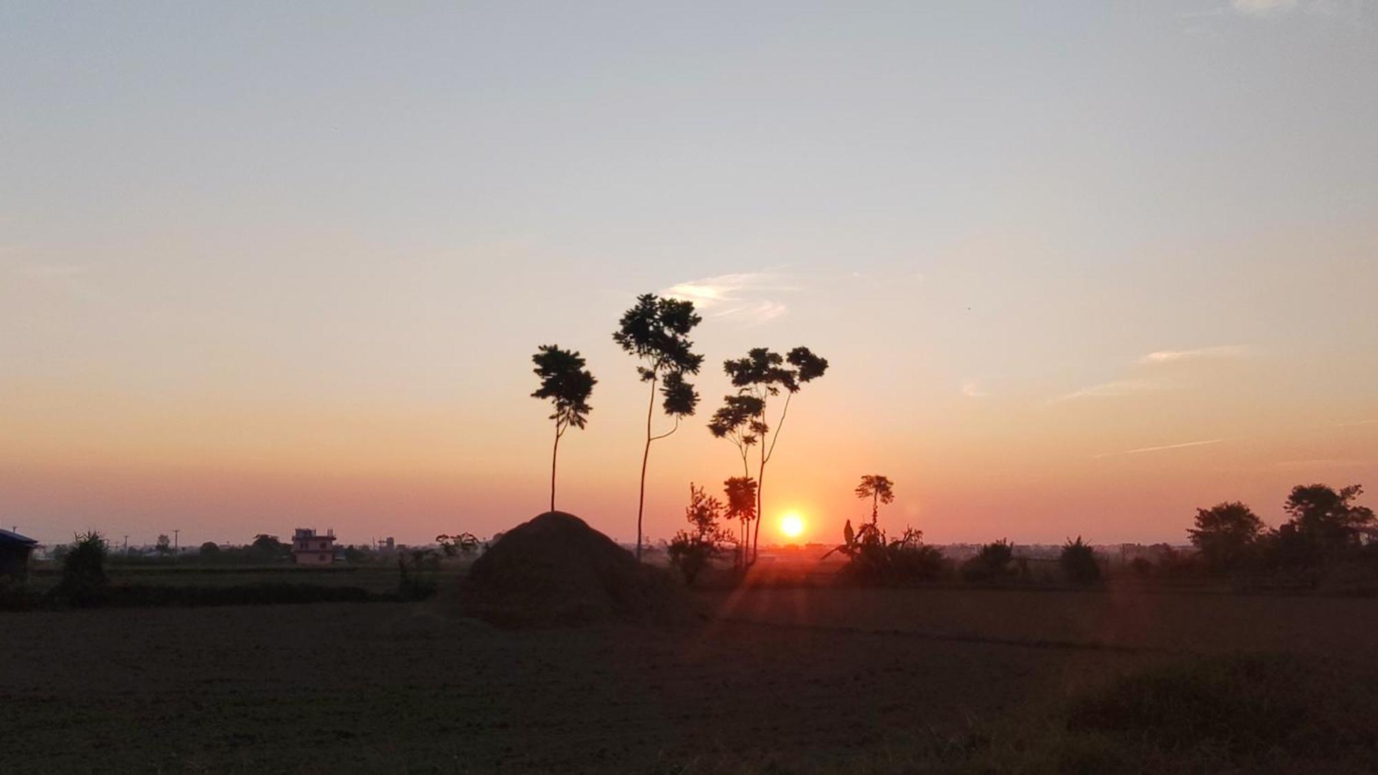 Hotel Rhino Land-Sauraha Family Home Exterior foto