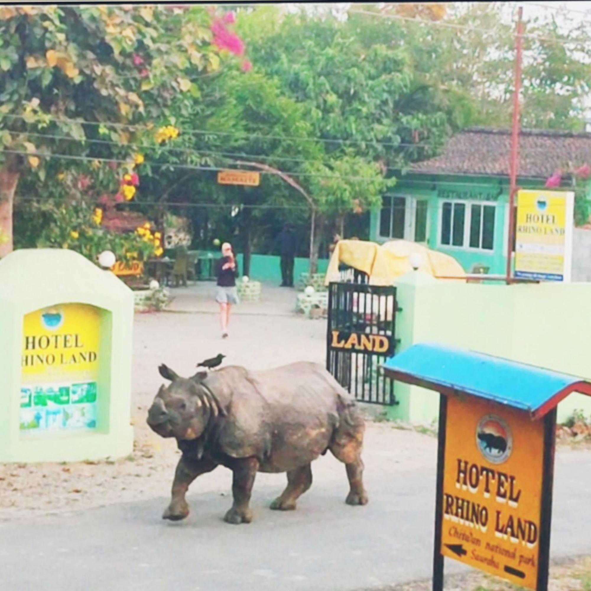 Hotel Rhino Land-Sauraha Family Home Exterior foto