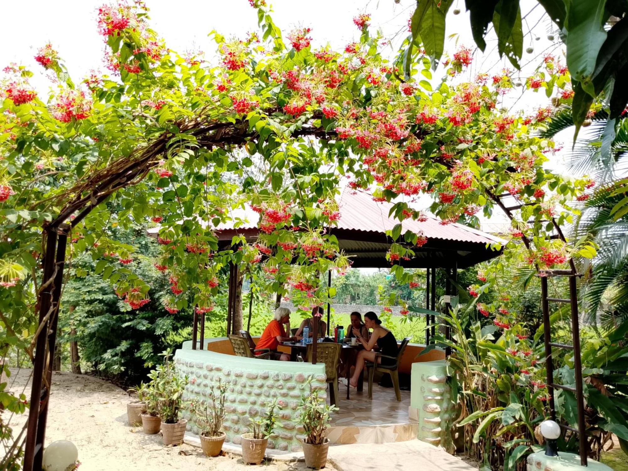 Hotel Rhino Land-Sauraha Family Home Exterior foto